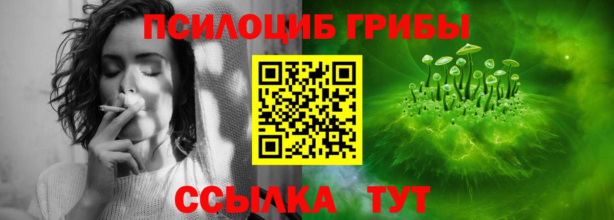Псилоцибиновые грибы MAGIC MUSHROOMS  Галлюциногенные грибы ЛСД  Балабаново  Вход с VPN 